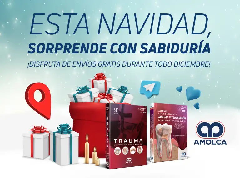 Promo navidad 2024